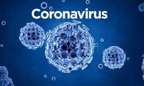 विश्व में कोरोना से 7.48 लाख लोगों की मौत, 2.05 करोड़ से अधिक संक्रमित